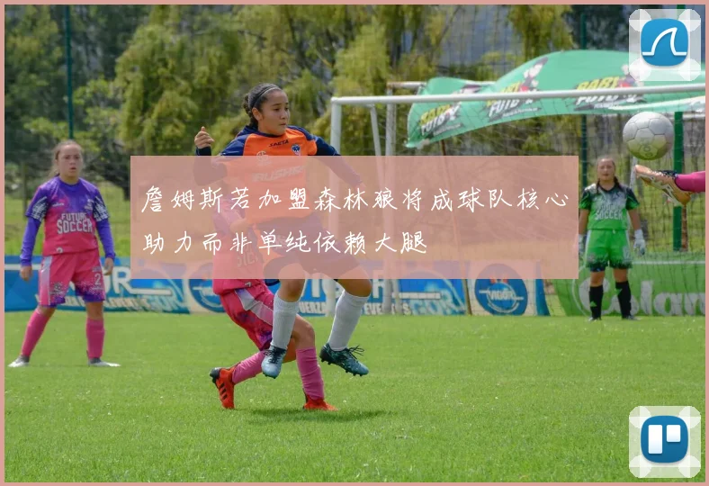 詹姆斯若加盟森林狼将成球队核心助力而非单纯依赖大腿