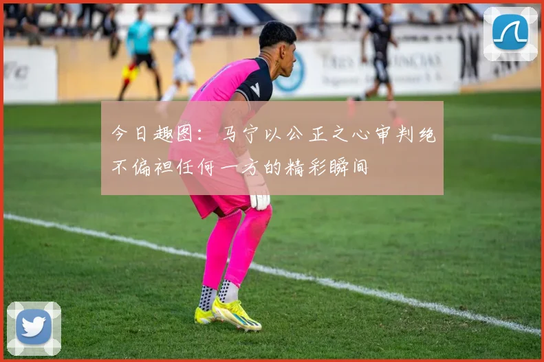 今日趣图：马宁以公正之心审判绝不偏袒任何一方的精彩瞬间